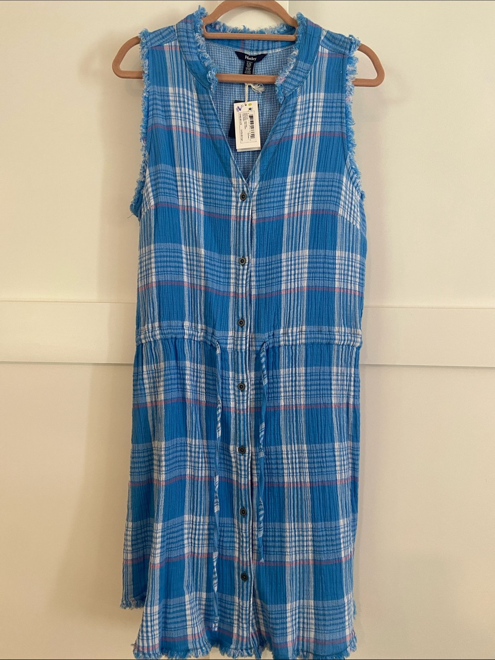 Hatley Blue Plaid Sleeveless Button-Front Dress